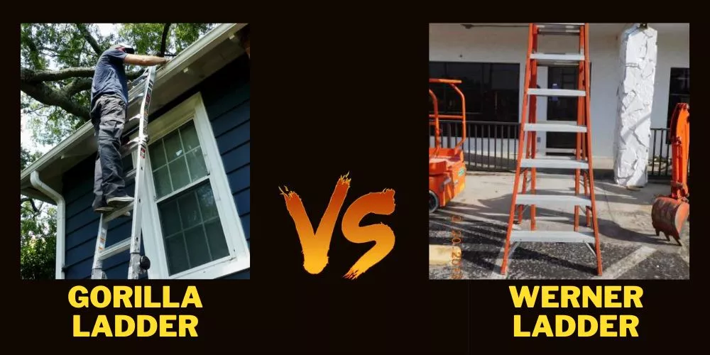 Gorilla vs Werner ladder