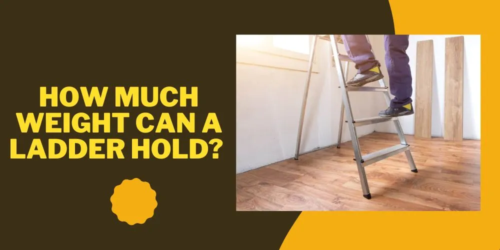 How much weight can a ladder hold