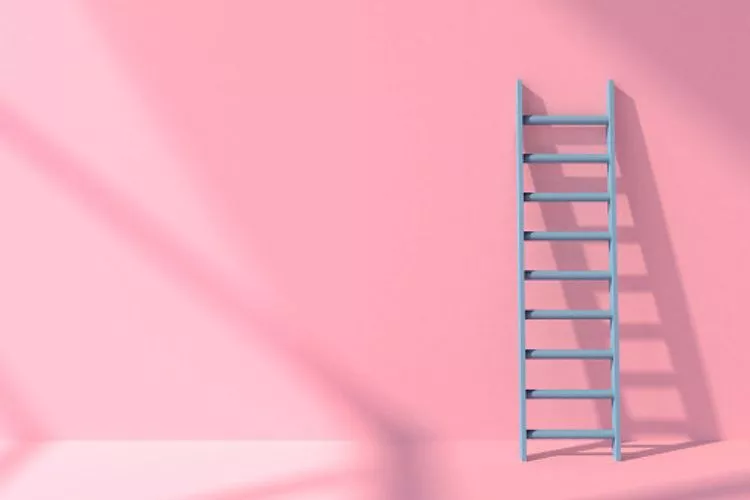 Ladder Color Codes