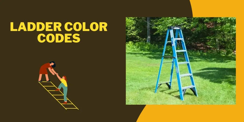 Ladder Color Codes