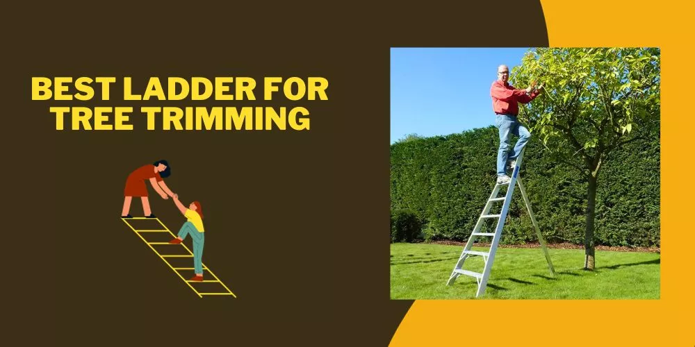 Best ladder for tree trimming
