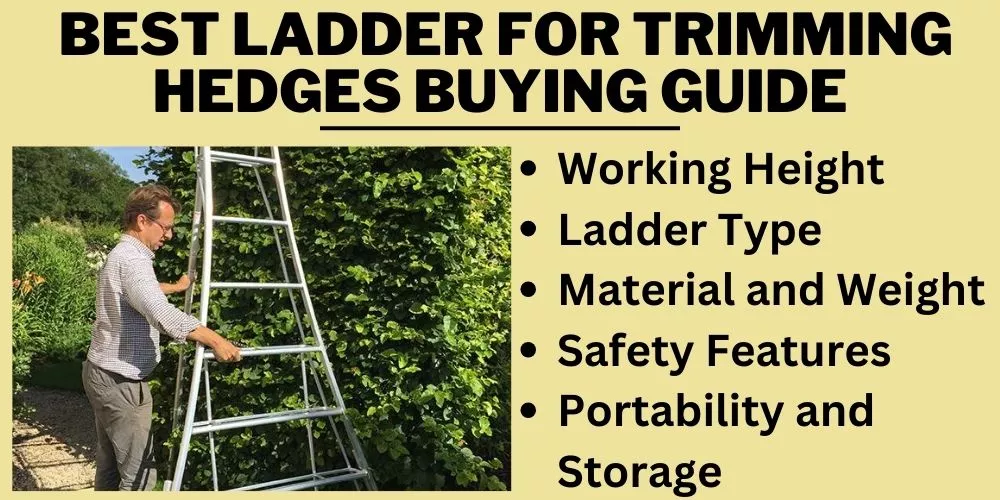  Best ladder for trimming hedges Buying Guide