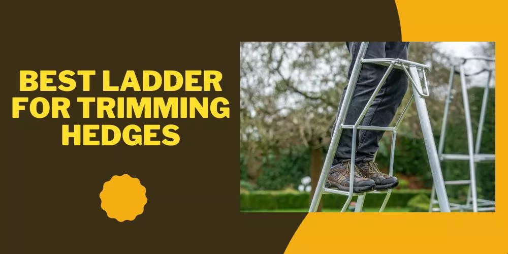Best ladder for trimming hedges (detailed review)
