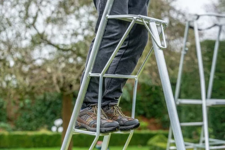 Best ladder for trimming hedges