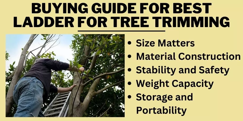 Buying Guide for Best ladder for tree trimming