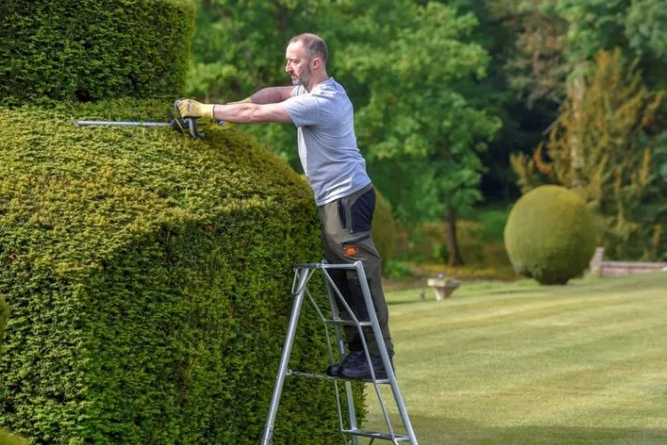  Benefits of Using a Tripod Ladder in Gardening