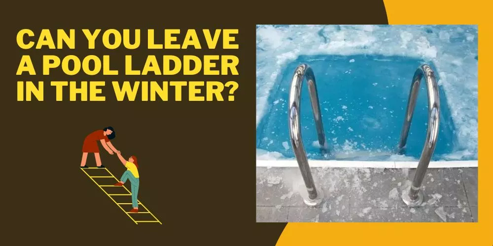 Can You Leave a Pool Ladder in the Winter