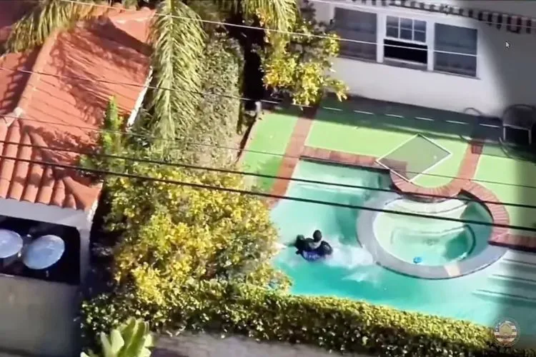 Beverly Hills Burglar Arrested Poolside