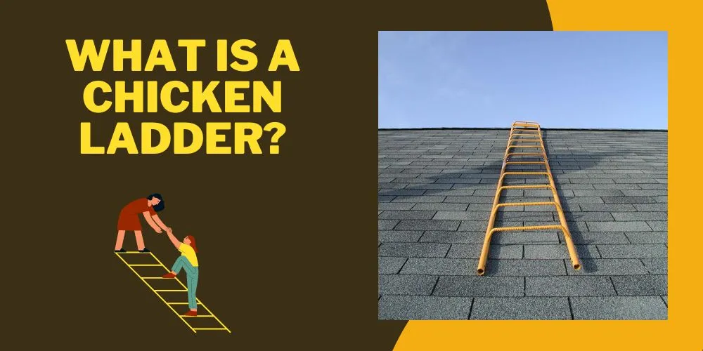 What Is a Chicken Ladder