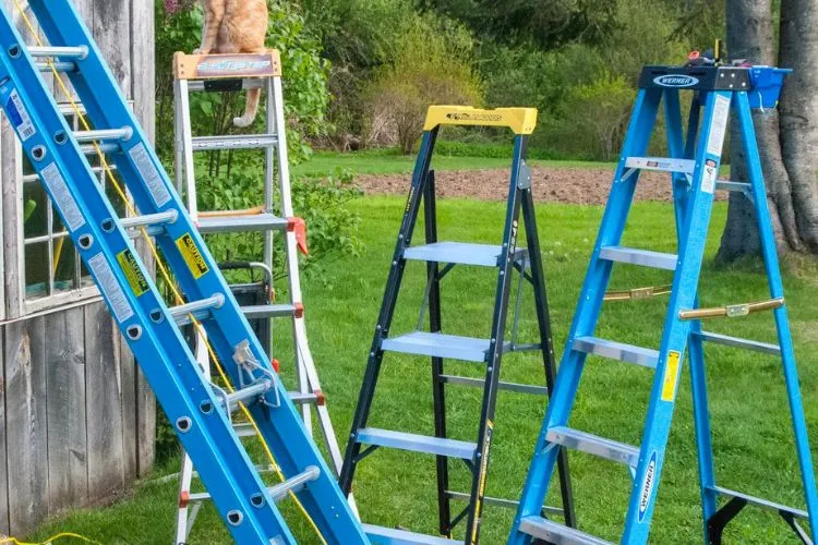 Step Ladder vs. Rung Ladder